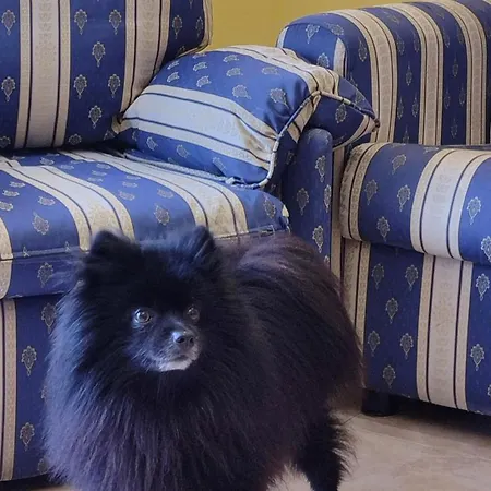 Apartment Duplex 2-bedroom Family F&f