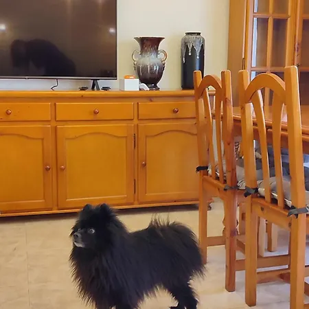 Duplex 2-bedroom Family F&f Apartment