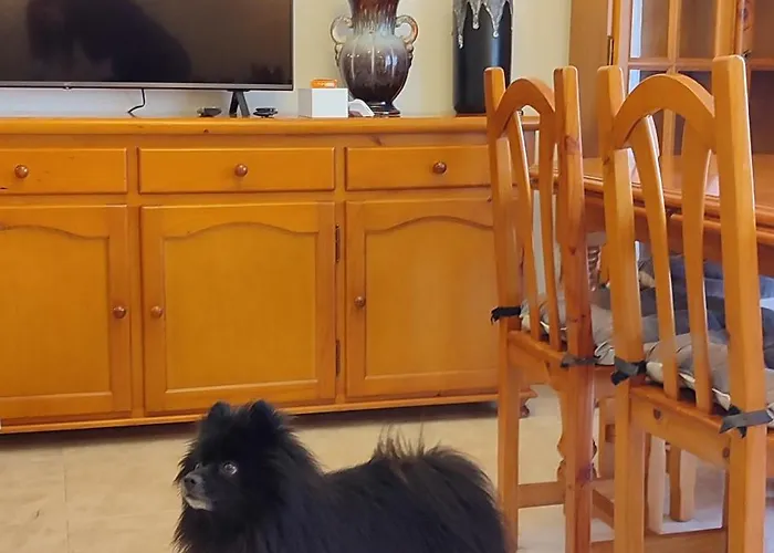 Duplex 2-bedroom Family F&f 公寓