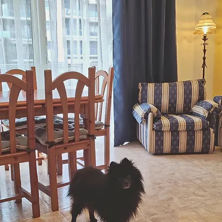 Duplex 2-bedroom Family F&f *