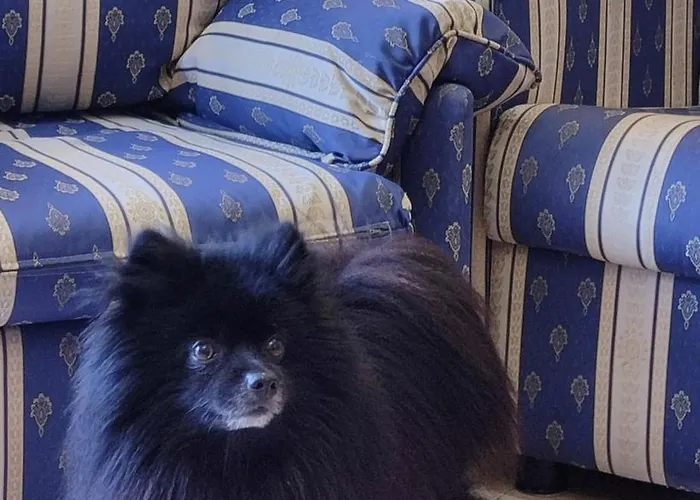 Апартаменти Duplex 2-bedroom Family F&f